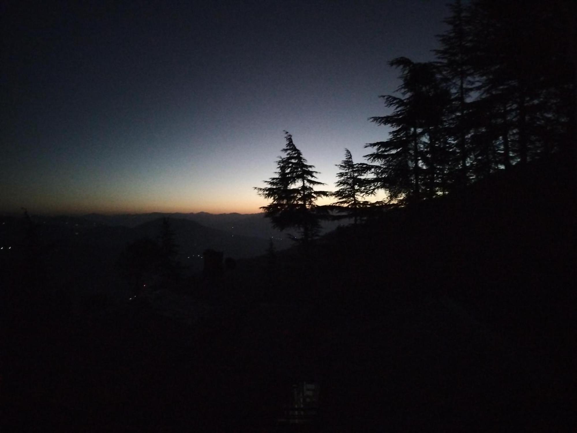 Tree Valley Homestay Chail Exterior foto