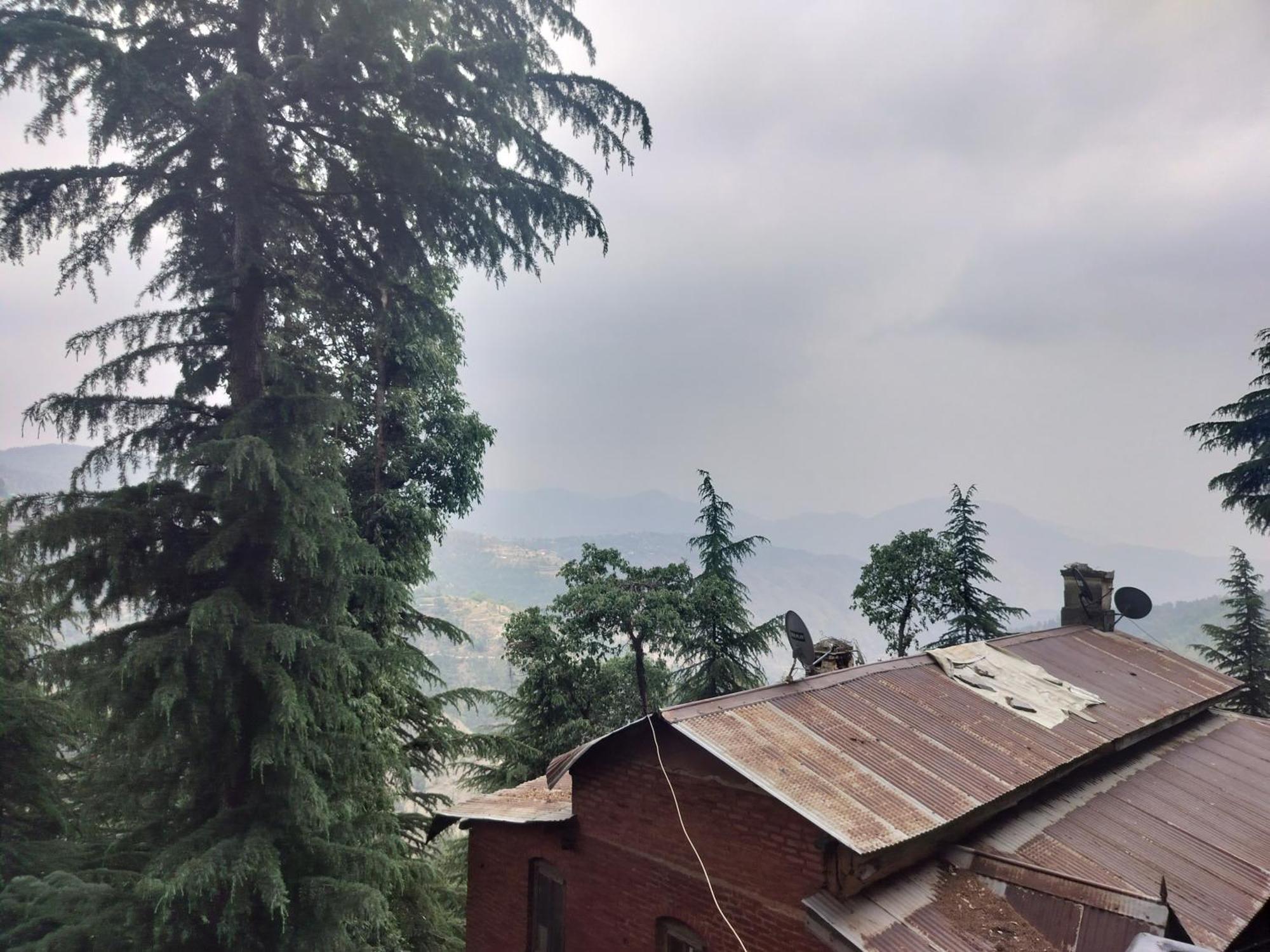Tree Valley Homestay Chail Exterior foto